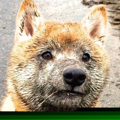 欧冠淘汰赛之夜，莫兰特完成里程碑，体育的交响曲在不同战场奏响最高音