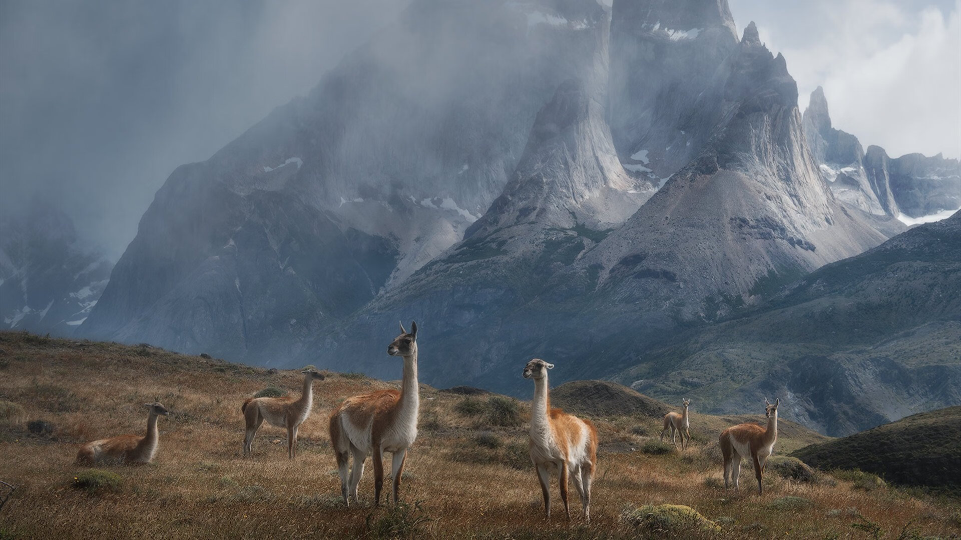 开云体育app-平行宇宙的哨音，当利拉德在沈阳的雨夜里爆发