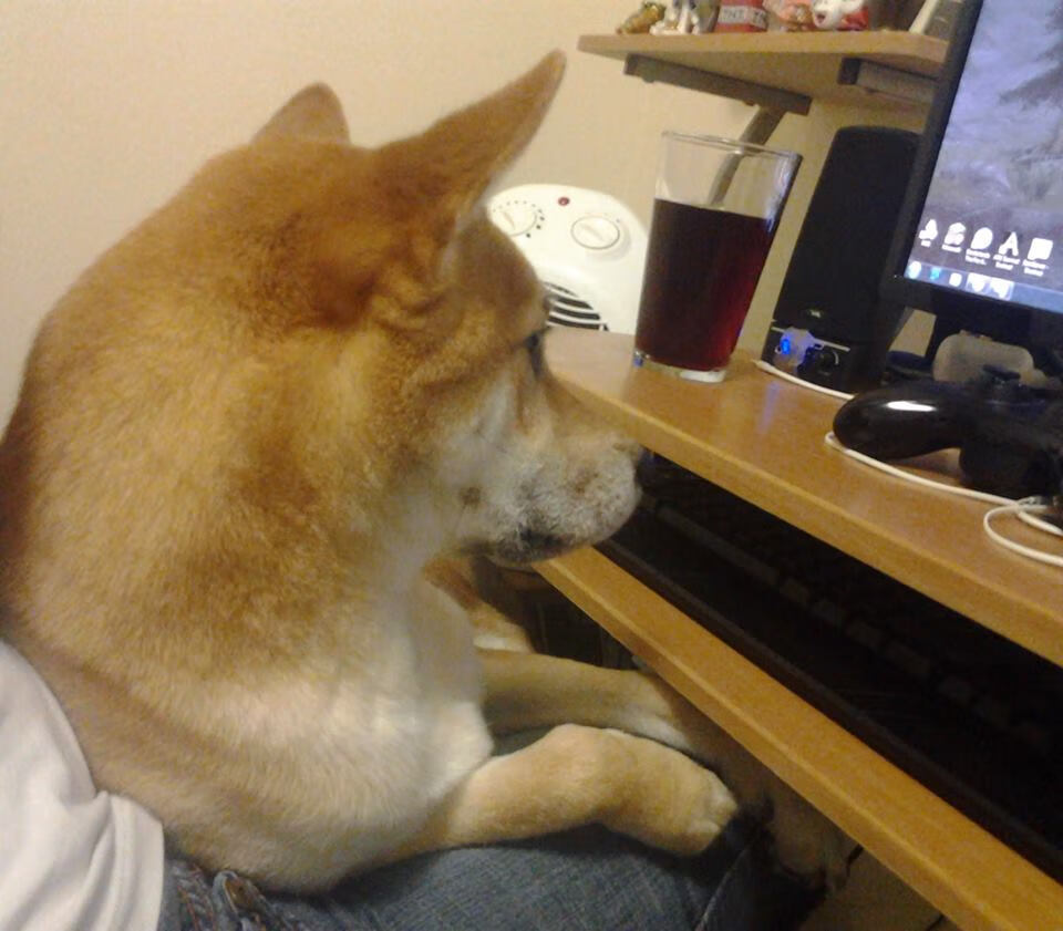 开云体育2026-冰与火之歌，基耶萨的稳定熔炉与中国队的爆发火山