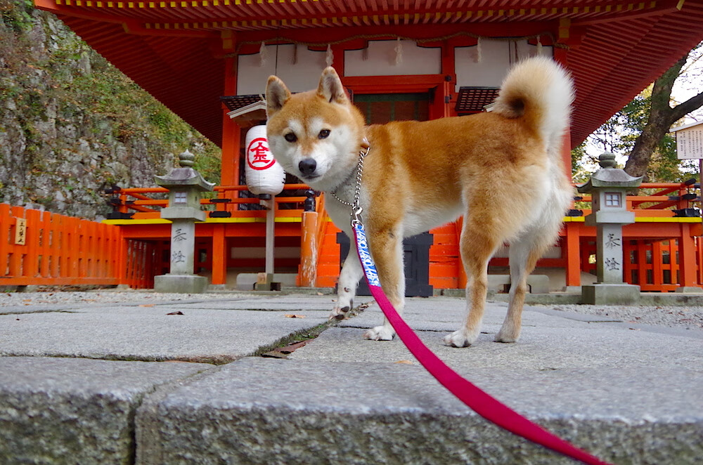 开云体育官网-飓风眼马丁内利，当亚特兰大用一条防线为世界标注天才的价签