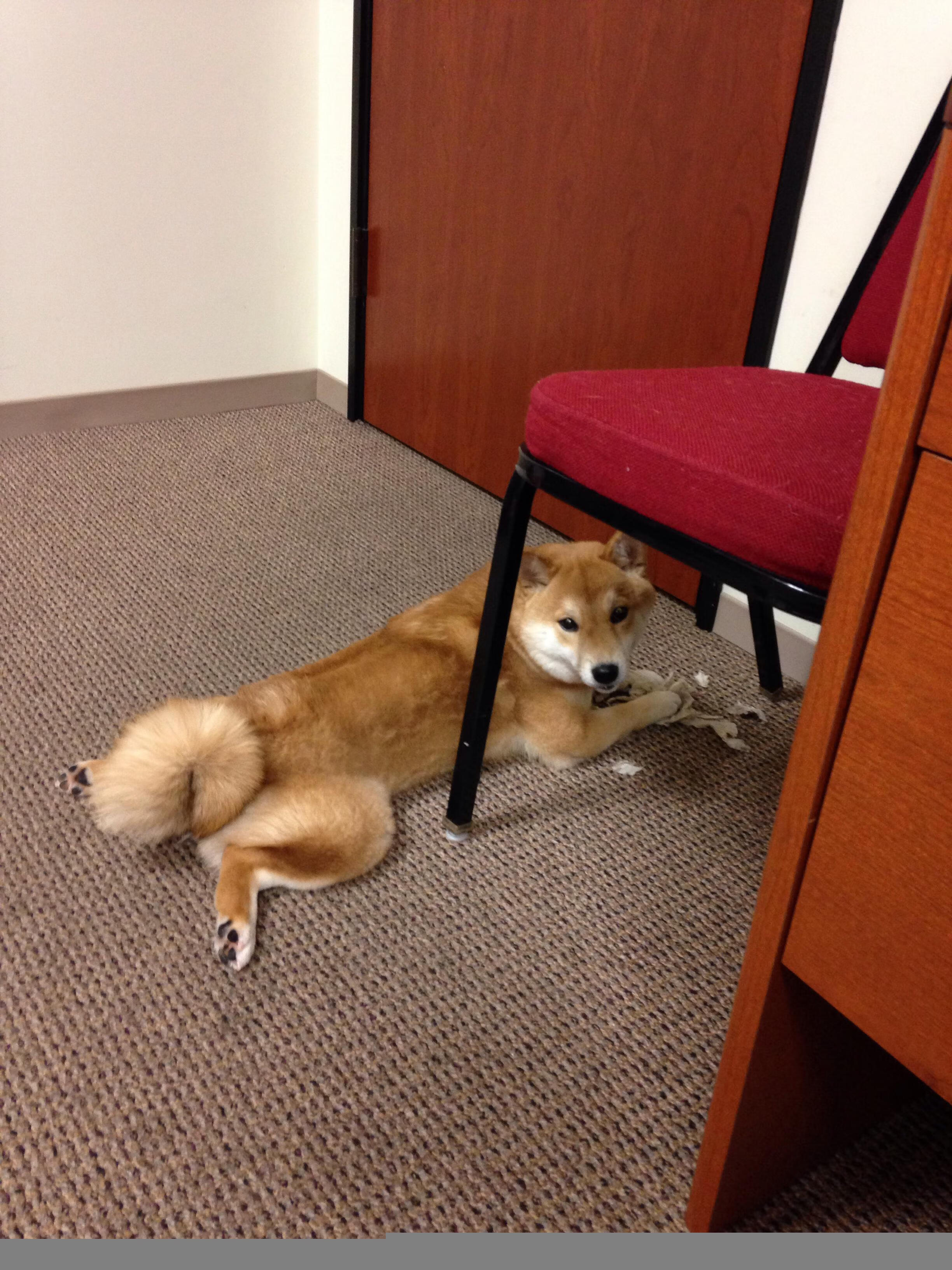 开云体育平台APP-巨星的诞生，在枪响前0.8秒，拉文在抢七之夜证明何谓大场面先生