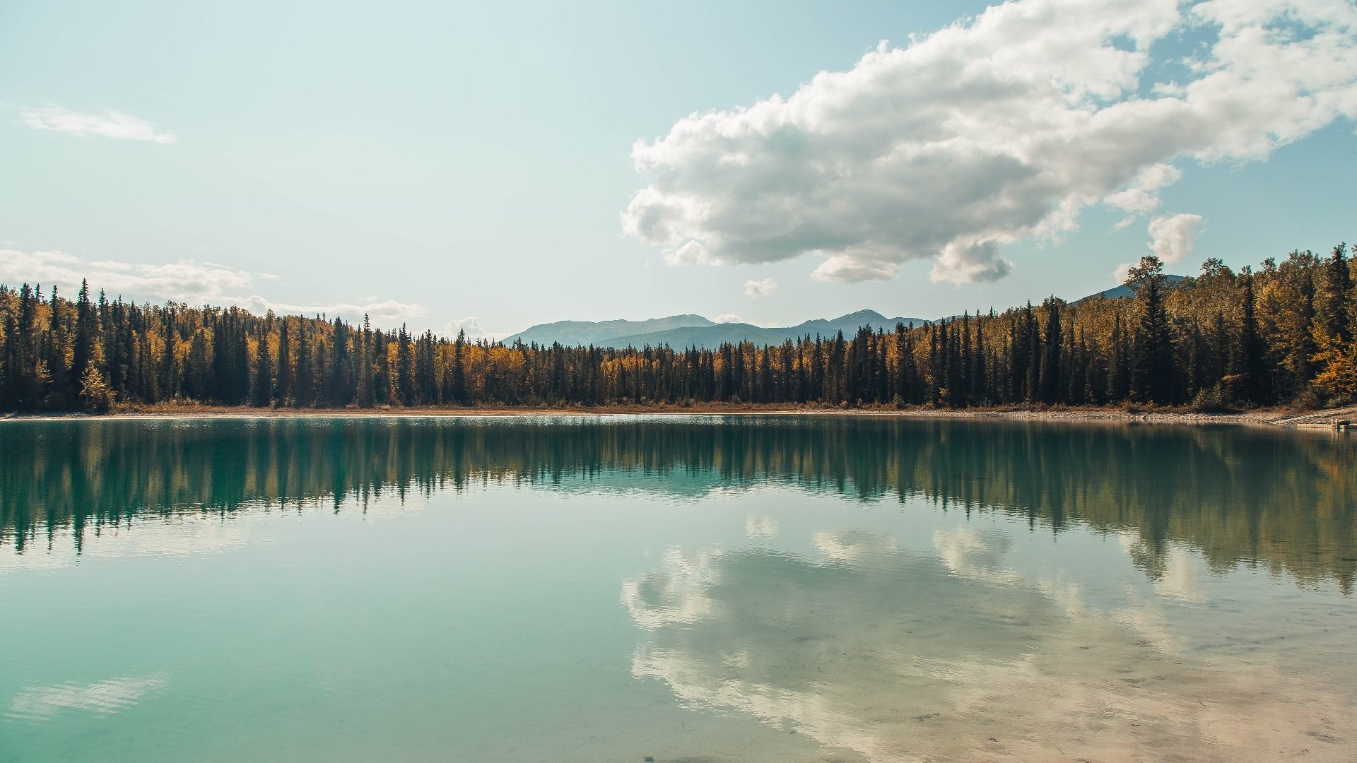 勇敢的心，卢卡库灾难艺术与加纳黑色流星的史诗翻转—一场反向救赎的绿茵启示录