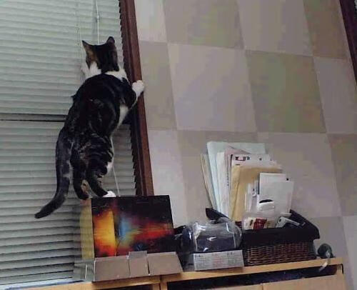 开云体育在线-代号委内瑞拉，全面压制战术如何让佩德里化身关键先生？