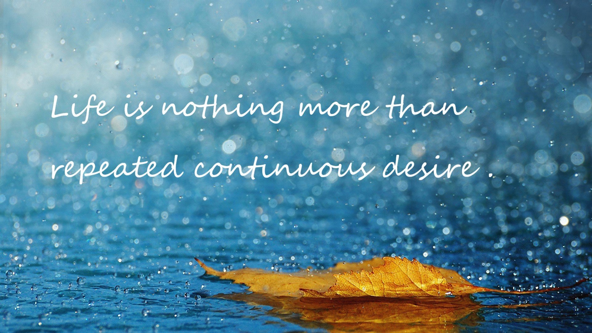 开云体育中国-辽宁逆袭夜，当团队篮球扼住灰熊咽喉，马克西在远方证明大场面先生的价值