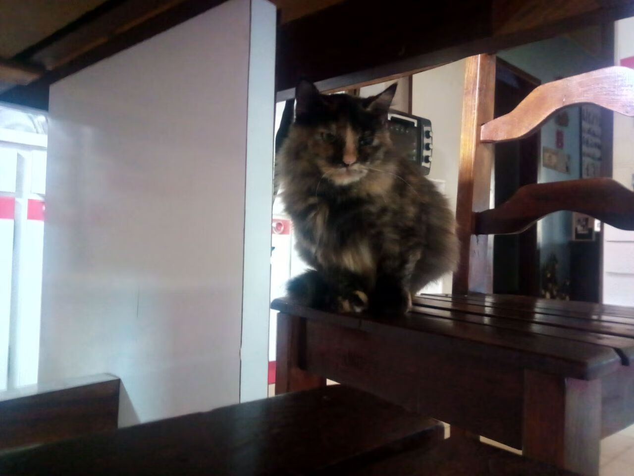 开云体育平台APP-跨界统治力，当快船进攻引擎轰鸣，F1赛道亦有圣保罗时刻