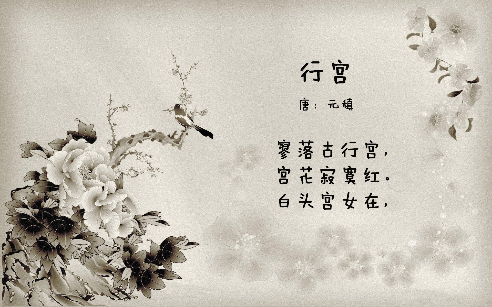 开云体育在线-F1新赛季揭幕战之夜，统治级表现如何让悬念在灯灭前终结？