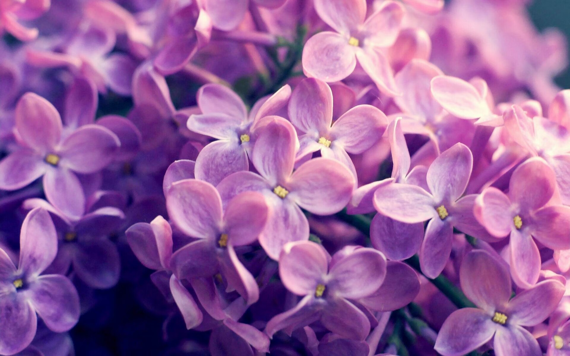 新红魔的闪电战，布雷默90秒进球揭开曼联提速新时代