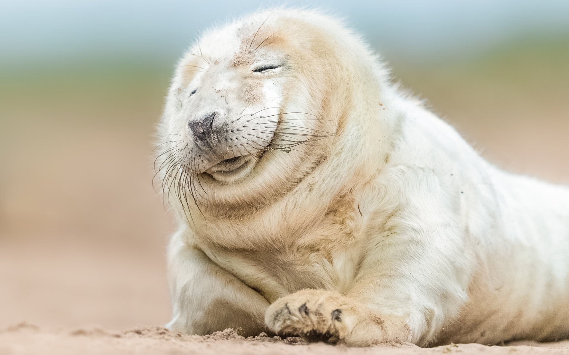 时空错位的进球,当阿尔瓦雷斯在马里与塞内加尔之战中撕裂现实