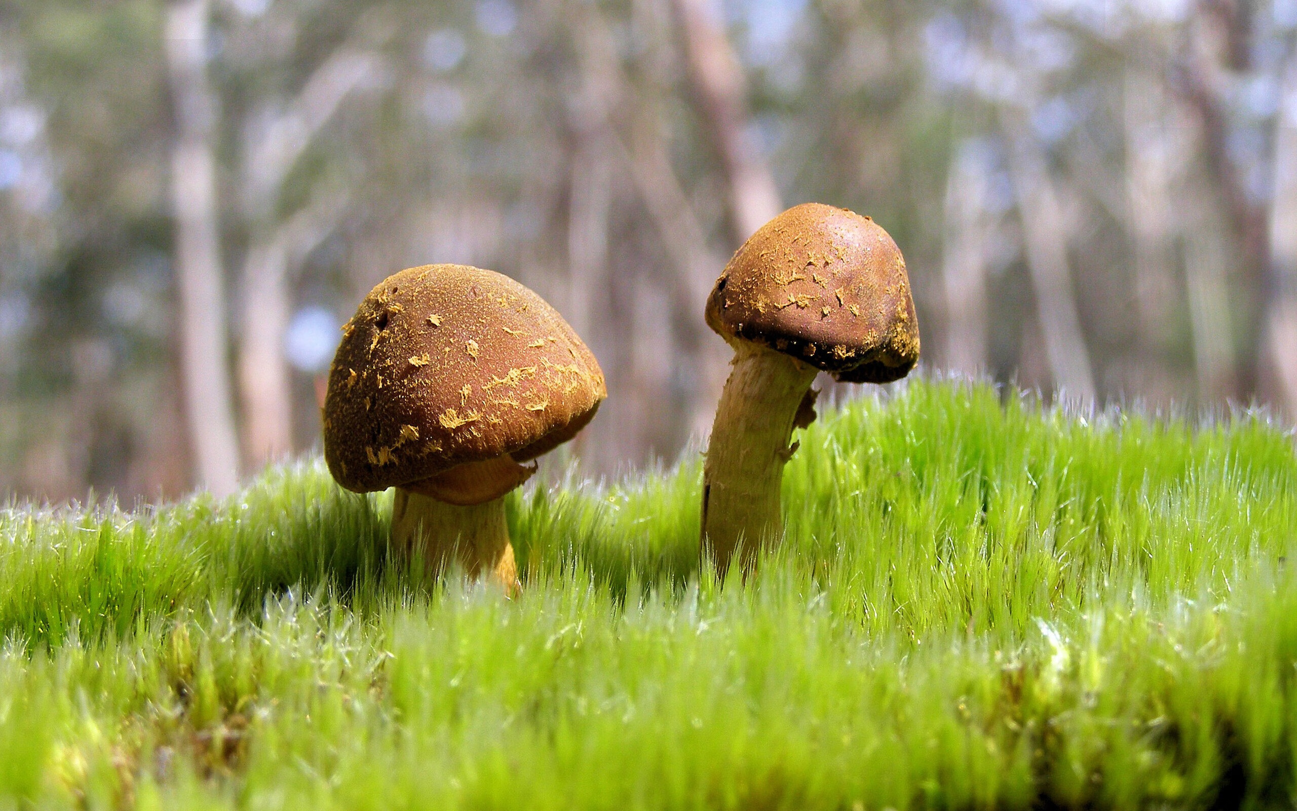 开云体育app-同一个周末，两场战役，一种足球，当瑞士与曼城在各自的战场写下注定被遗忘却不可或缺的注脚