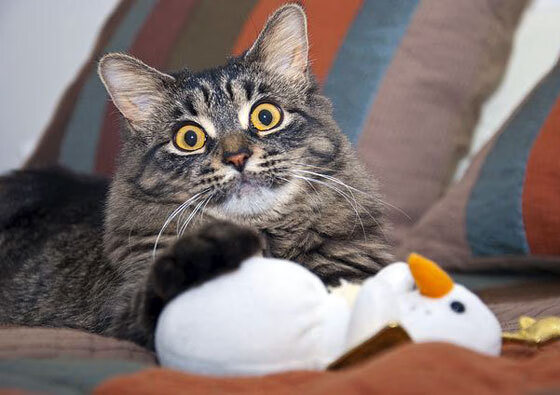 开云体育入口-双核驱动，末节风暴，特雷·杨与莫兰特诠释当代控卫答案