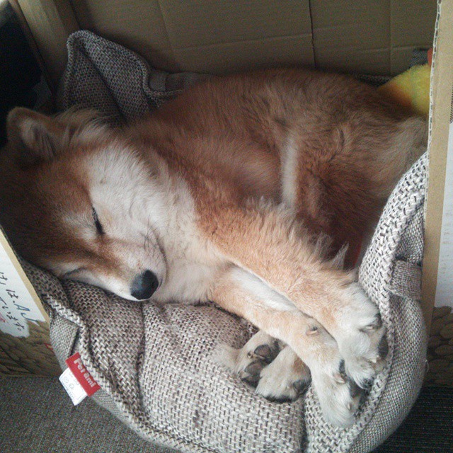 C罗不在场上，却为这场比赛写下注脚，当勒沃库森的狂飙遭遇亚特兰大的铁壁，谁能主宰时间的流速？