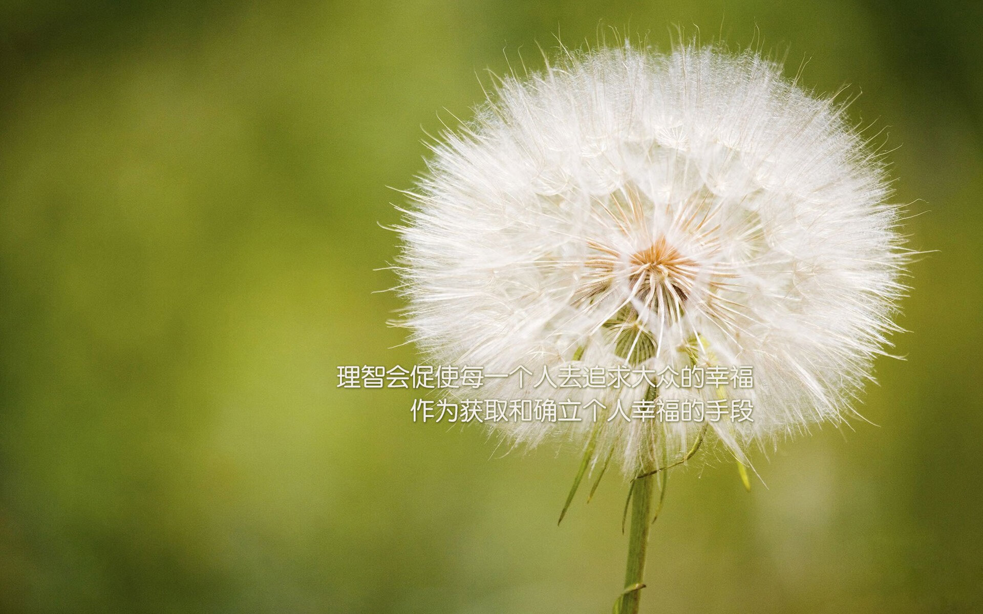 开云体育-跨越太平洋的关键一击，杜兰特加盟山西狂胜独行侠的梦幻之战