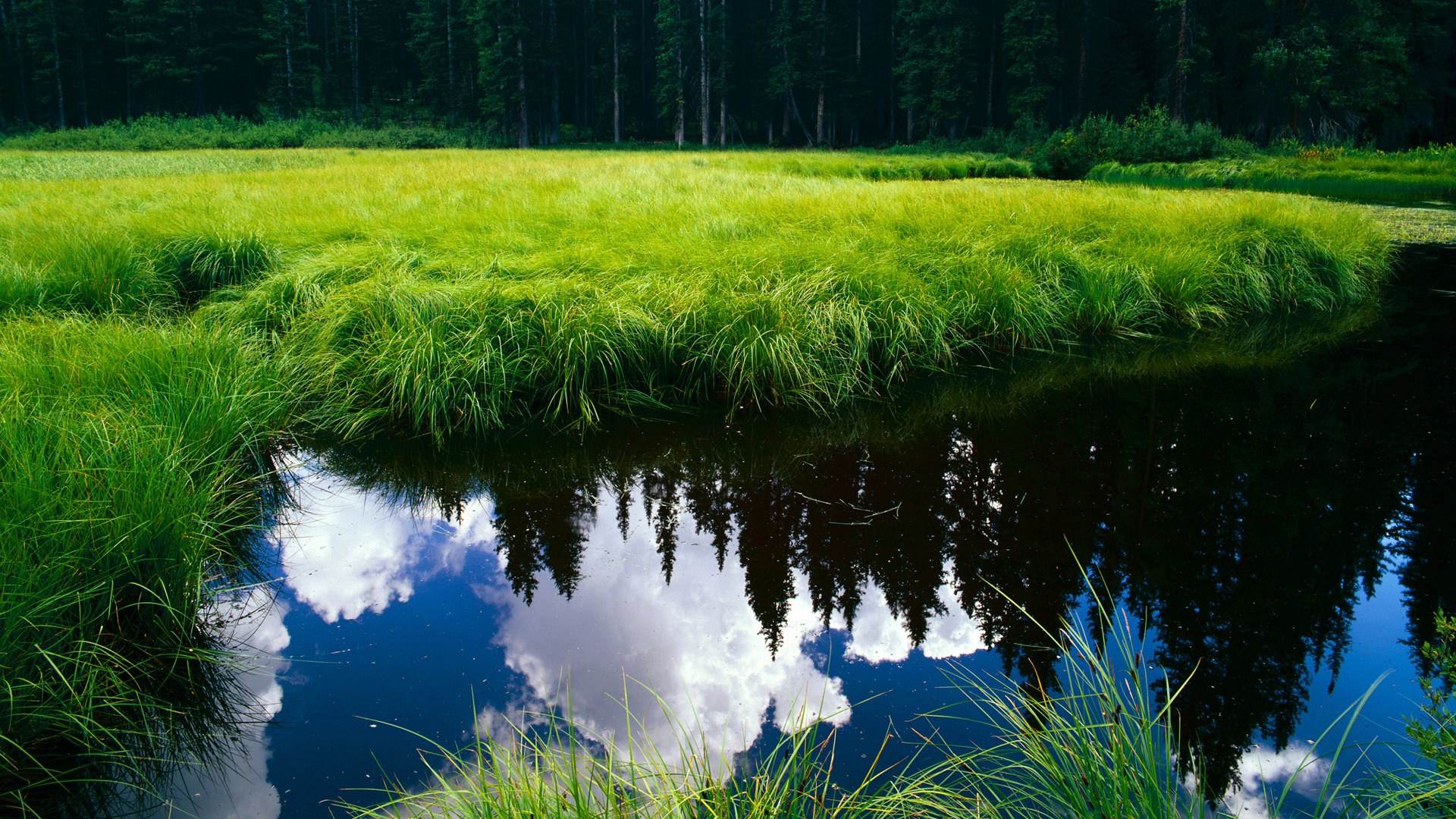 以最沉默的姿势，磨最锋利的剑，莱万破晓之战