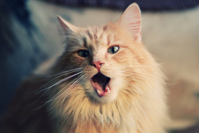 C罗掩面，美国闪电战，亚特兰大一场暴雨浇灭葡萄牙黄金一代