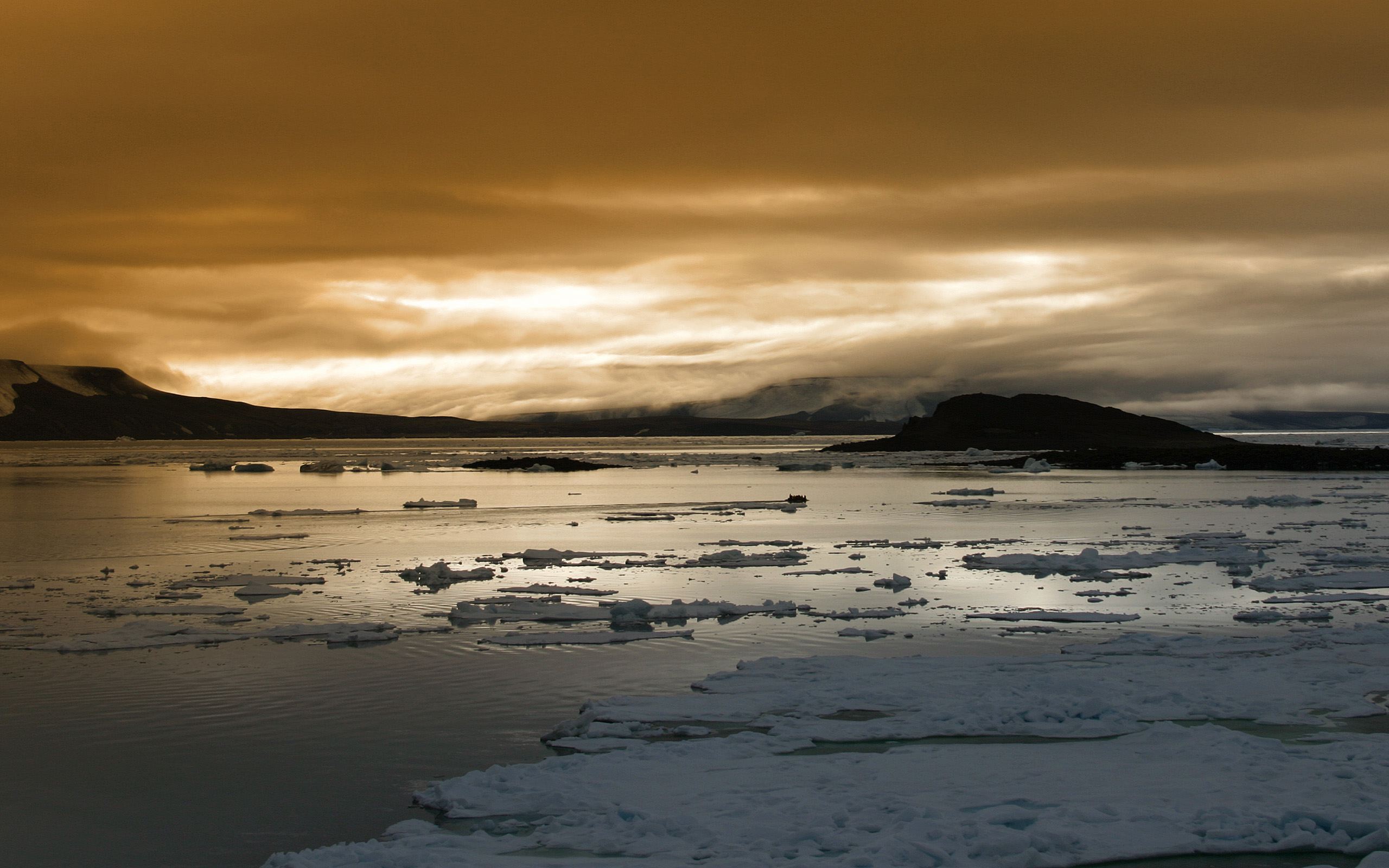 开云sport-外援独挑大梁，掀翻CBA传统豪门，浓眉化身浙江队破京利刃