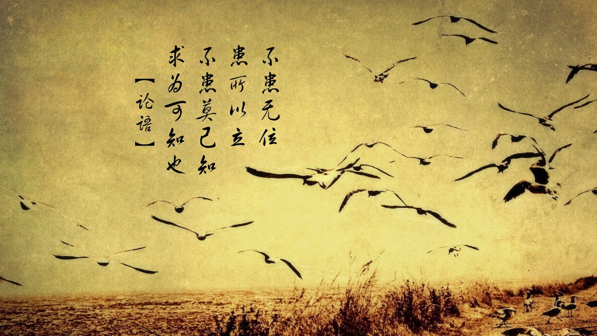 开云体育官网-扩展思维，标题构思