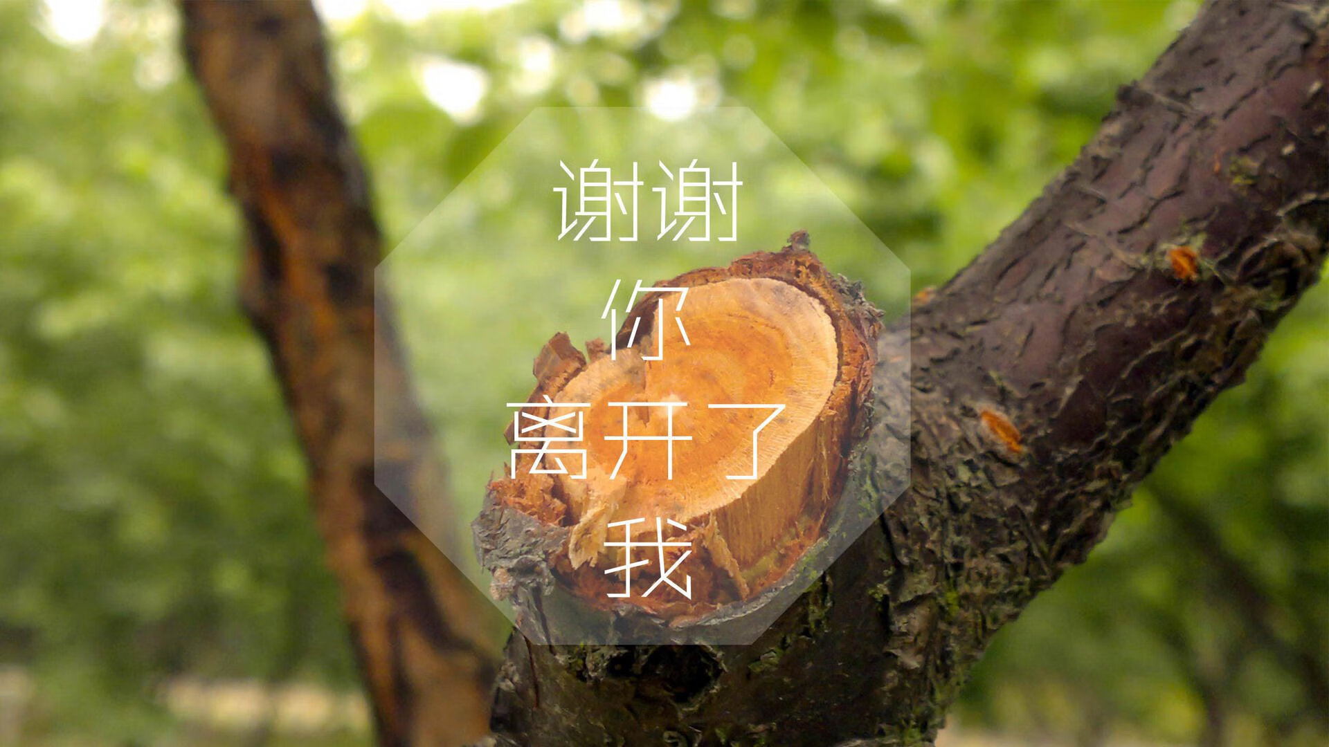 当艺术足球遇见钢铁防线，法国队用一场碾压式胜利定义唯一性