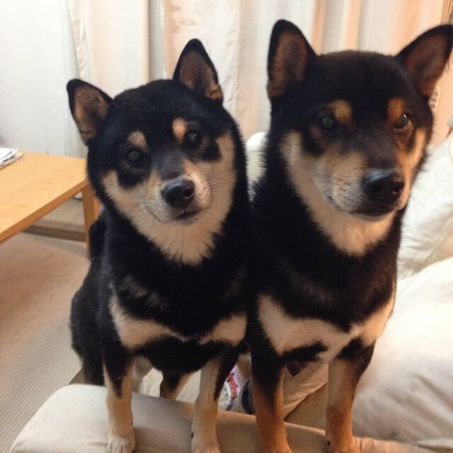 上帝掷下的骰子，2026世界杯A组，阿诺德的压哨绝杀如何改写了足球的平行时空
