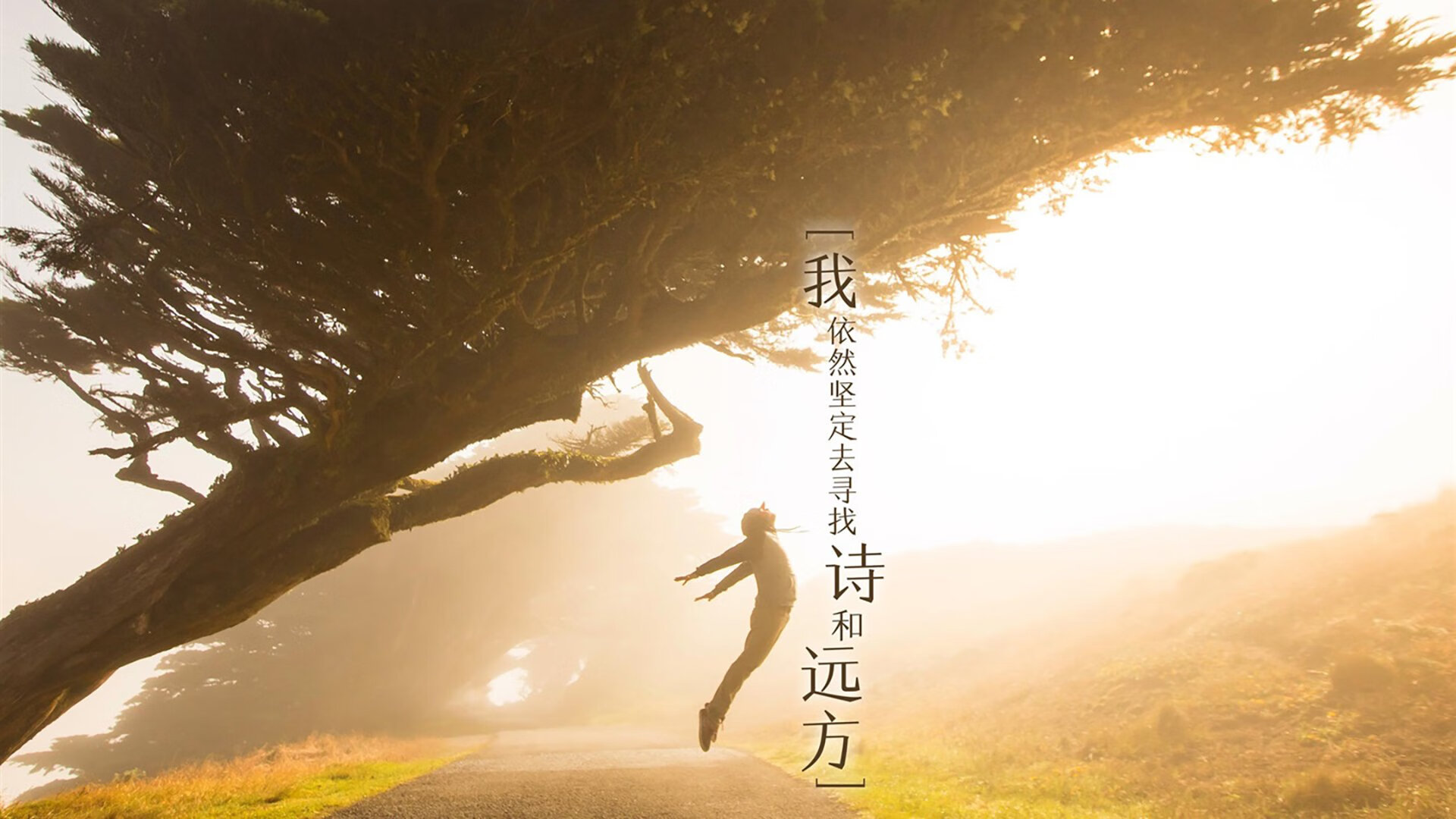 铁幕下的裂缝,当吉鲁的唯一性撕裂了G组的北非之盾