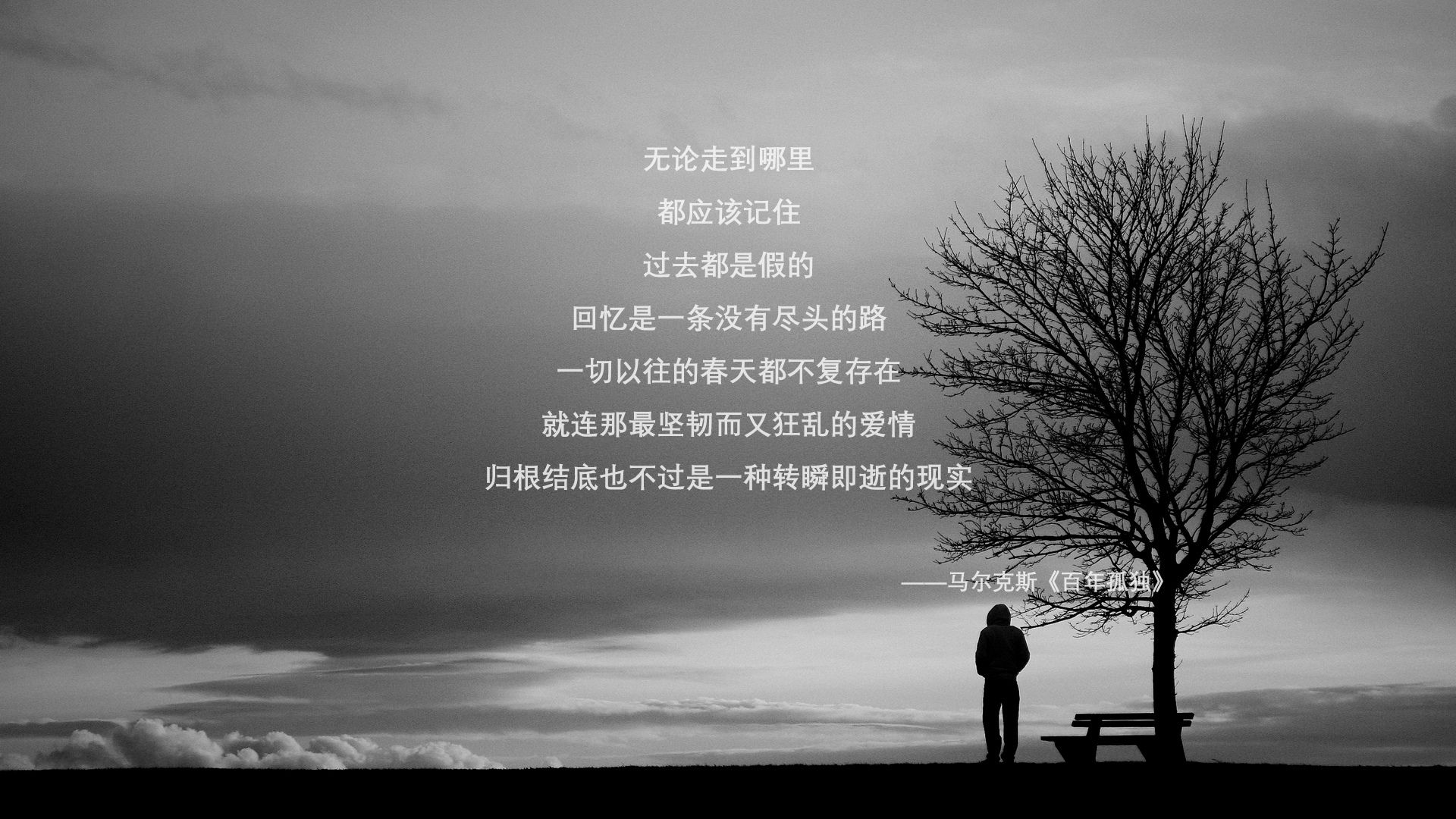 2026世界杯F组唯一悖论，三笘薰的孤星闪耀与奥地利逆转的对抗性美学